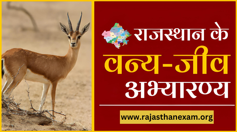 राजस्थान में वन्य जीव अभ्यारण्य